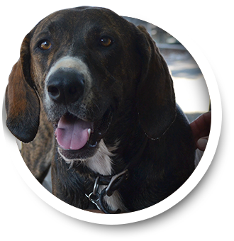 Duke | Allied Auto Works Grant Road